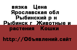 вязка › Цена ­ 500 - Ярославская обл., Рыбинский р-н, Рыбинск г. Животные и растения » Кошки   